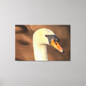 Head Mute Swan Portrait Canvas Afdruk (Voorkant)