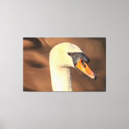 Head Mute Swan Portrait Canvas Afdruk