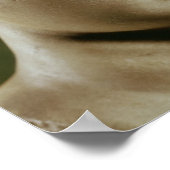 Head of Artemis Poster (Hoek)