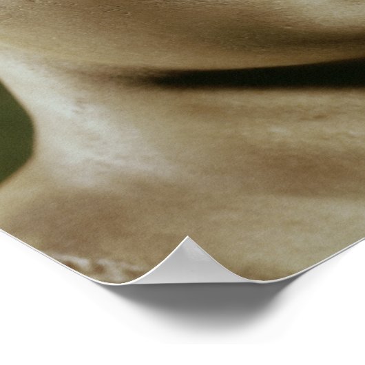 Head of Artemis Poster (Hoek)