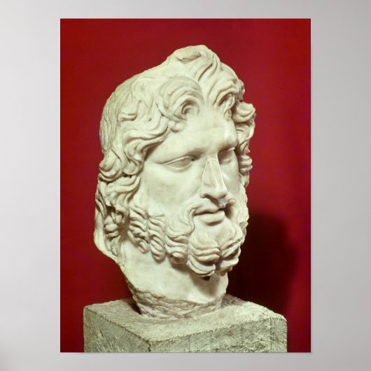 Head of Jupiter Poster (Voorkant)