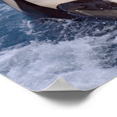 Head of whale killer poster (Hoek)