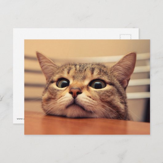 Head on table briefkaart (Voorkant / Achterkant)