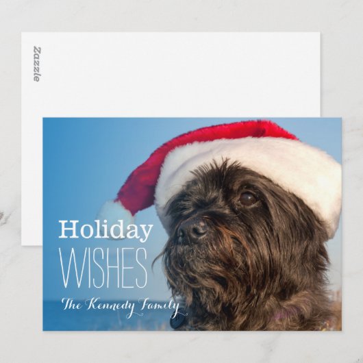 Head portrait of cairn terrier feestdagenkaart (Voorkant / Achterkant)