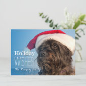 Head portrait of cairn terrier feestdagenkaart (Staand voorkant)