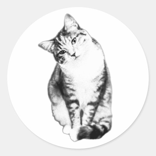 Head Tilt Tabby Cat Monochrome Sticker (Voorkant)