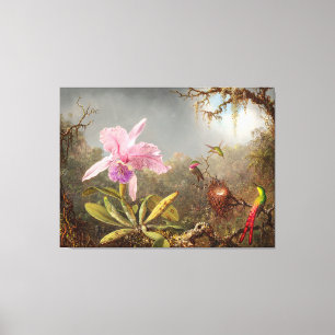 HEADE Cattleya Orchid and Three Humminbird (1871) Canvas Afdruk
