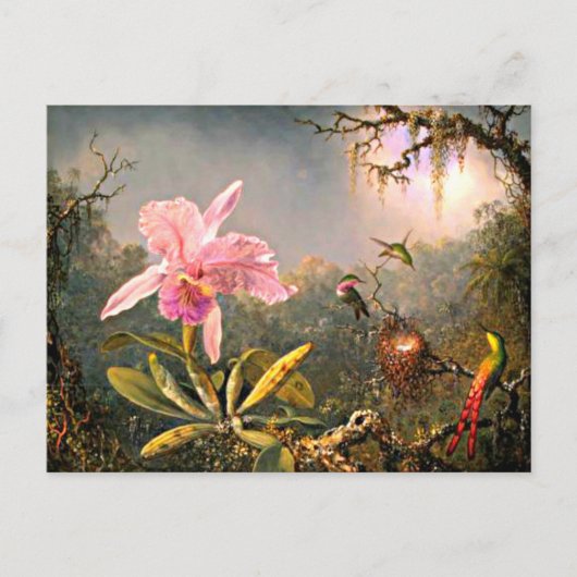 Heade - Cattleya Orchid en Drie Hummingvogels Briefkaart (Voorkant)