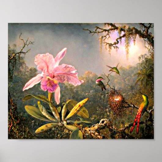 Heade - Cattleya Orchid en Drie Hummingvogels Poster (Voorkant)