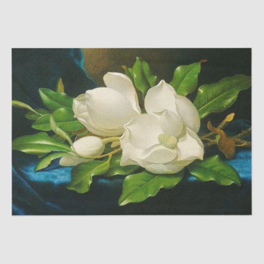 Heade Giant Magnolia Flower Blossom Tissue Paper Tissuepapier (Voorkant)