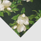 Heade Giant Magnolia Flower Blossom Tissue Paper Tissuepapier (Detail)