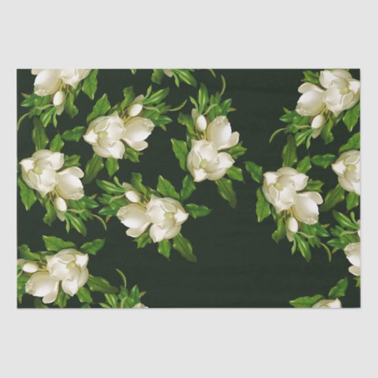 Heade Giant Magnolia Flower Blossom Tissue Paper Tissuepapier (Voorkant)