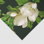 Heade Giant Magnolia Flower Blossom Tissue Paper Tissuepapier (Detail)