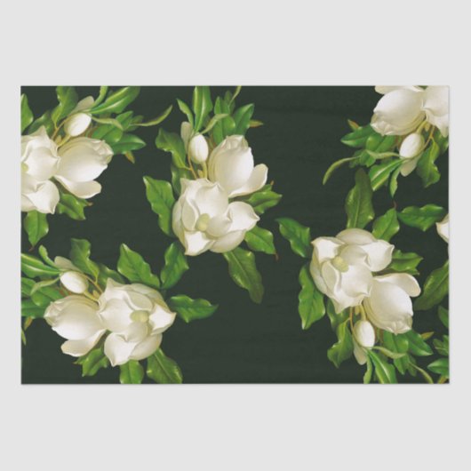 Heade Giant Magnolia Flower Blossom Tissue Paper Tissuepapier (Voorkant)