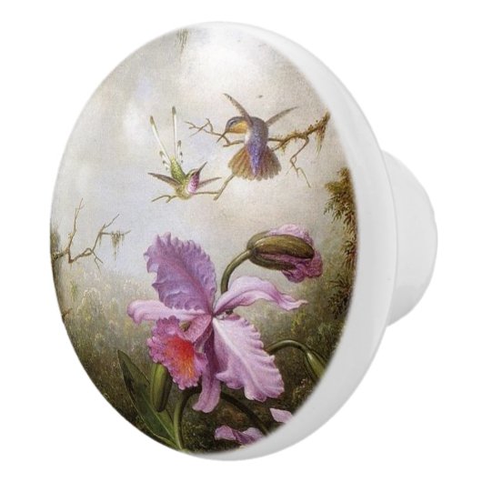 Heade Hummingbird Birds Animals Floral Knob Keramische Knop (Rechts)