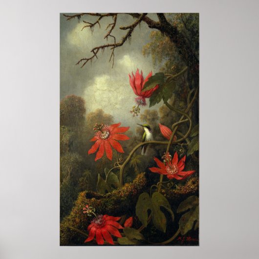 Heade - Hummingbird en passion Flowers Poster (Voorkant)