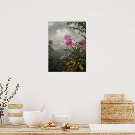 Heade - Hummingbird op het orchidee Plant Poster (Keuken)