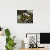 Heade - Kolibrie En Appelbloesems Poster (Thuiskantoor)
