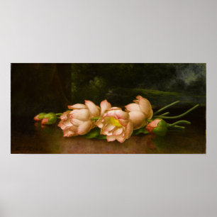 Heade - Lotus Flowers Poster