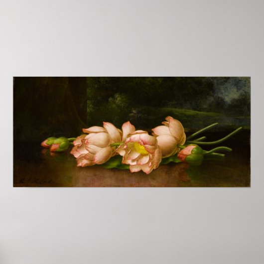 Heade - Lotusbloemen Poster (Voorkant)