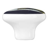 Heade Magnolia Flowers still Life Painting Knob Keramische Knop (Zijkant)