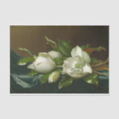 Heade Magnolias Floral Painting Tissuepapier (Voorkant)