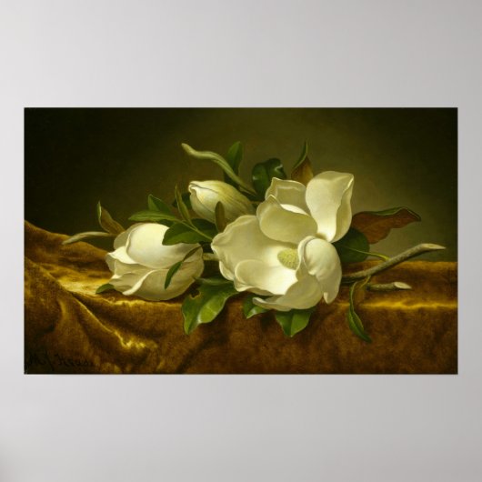 Heade - Magnolias op gouden vetstof Poster (Voorkant)