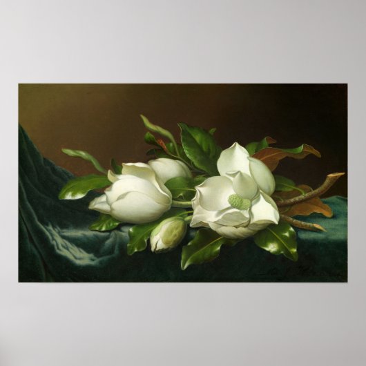 Heade - Magnolias op lichte, blauwe vetstof Poster (Voorkant)