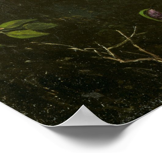 Heade - Orchid Blossoms Poster (Hoek)