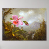 Heade - orchidee en levende vogel nabij een waterv poster (Voorkant)