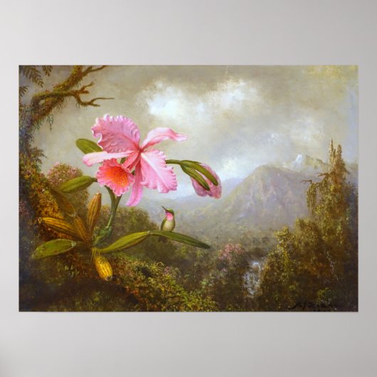 Heade - orchidee en levende vogel nabij een waterv poster (Voorkant)