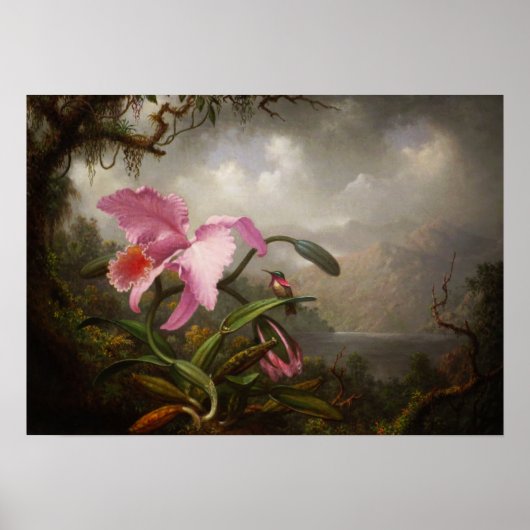 Heade - orchidee en levende vogel poster (Voorkant)