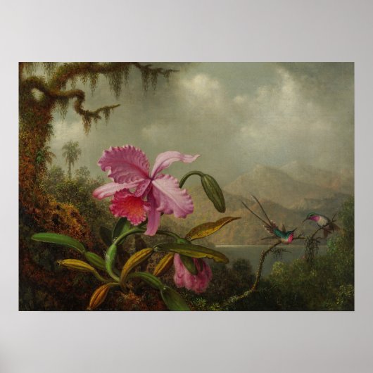 Heade - Orchideeën En Kolibries 1875 Poster (Voorkant)