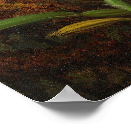 Heade - orchideeën en levende vogels 1875 poster (Hoek)