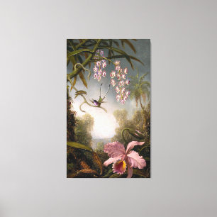 HEADE - Orchideeën en Spray Orchideeën met Humminb Canvas Afdruk