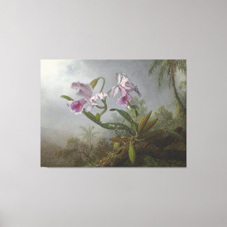 HEADE - Roze Orchideeën en kolibrie op een Twig - Canvas Afdruk