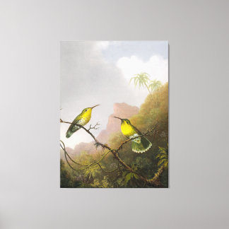 HEADE Twee Kolibrie Koperstaartamazili - Canvas Afdruk