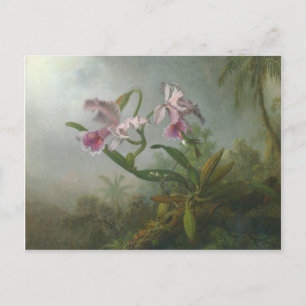 Heade - Twee Orchideeën en een Humming Bird Briefkaart