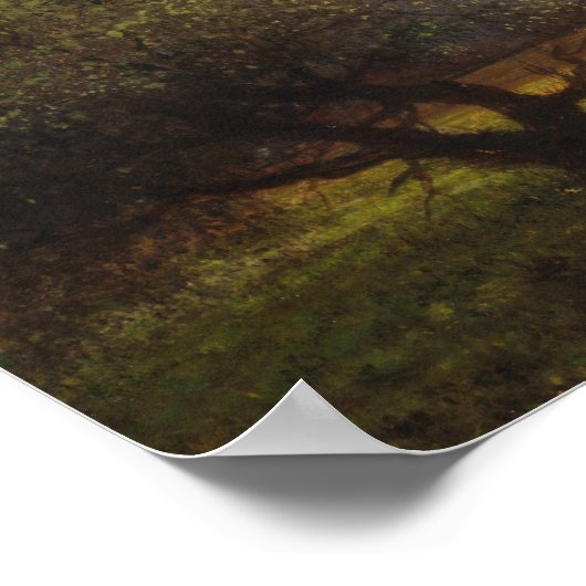 Heade - Zonlicht en schaduw, Newbury Marshes Poster (Hoek)