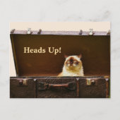 HEADS UP RELOCATION CARD BRIEFKAART (Voorkant)