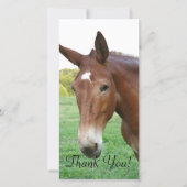 Headshot van een Rather Refined Mule Bedankkaart (Voorkant)