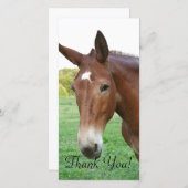 Headshot van een Rather Refined Mule Bedankkaart (Voorkant / Achterkant)