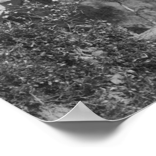 Headstone of Wild Bill Hickock's Grave Photograp Poster (Hoek)