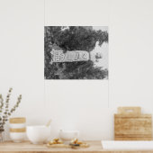 Headstone of Wild Bill Hickock's Grave Photograp Poster (Keuken)