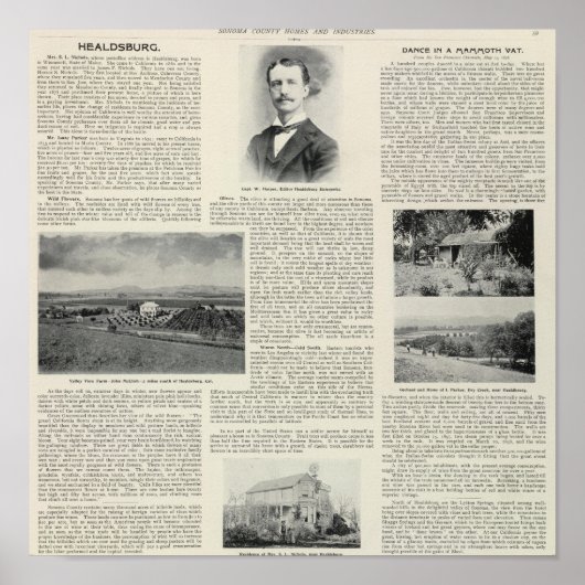 Healdsburg, Californië Poster (Voorkant)