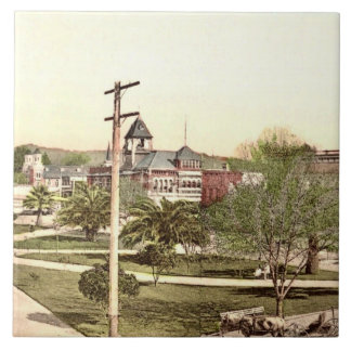 Healdsburg, Californische keramische Tegel Tegeltje