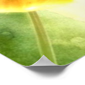 Healer Anita Fugoso's brief op  papier liefde Poster (Hoek)