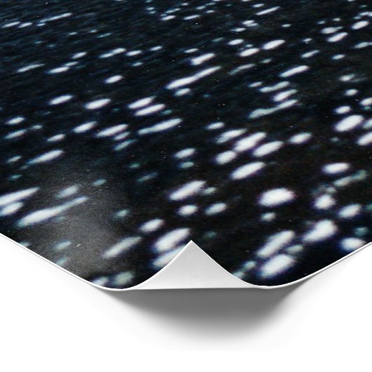 Healer's Boat Poster (Hoek)