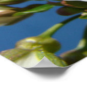Healing Caring Nursing posters Blue Sky Blossom (Hoek)