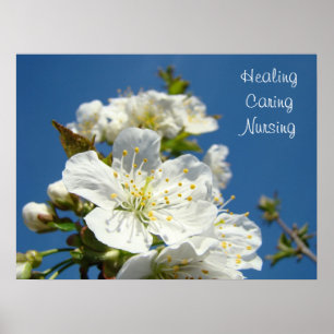 Healing Caring Nursing posters Blue Sky Blossom